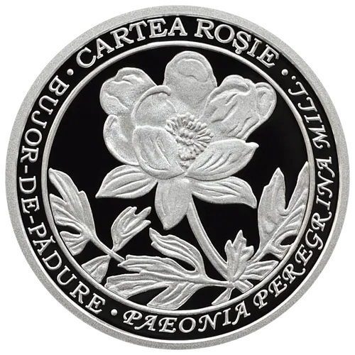 Bujorul de stepă (Paeonia peregrina), 2014, revers