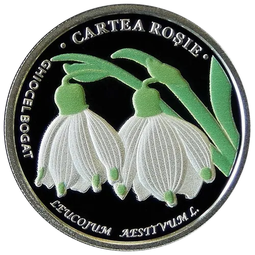 Белоцветник летний (Leucojum aestivum L.), 2019, реверс