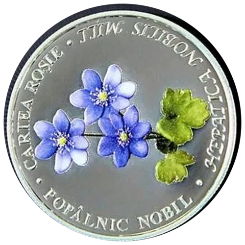 Crucea-voinicului (Hepatica nobilis Mill), 2021, revers