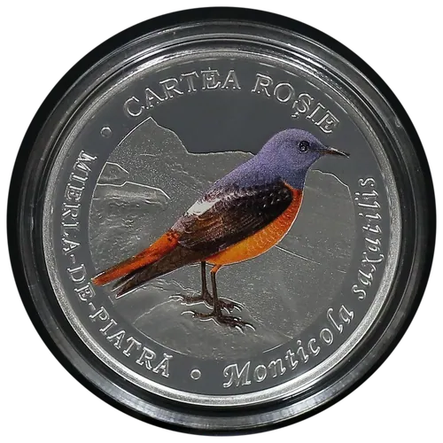 Mierla de piatră (Monticola saxatilis), 2022, revers