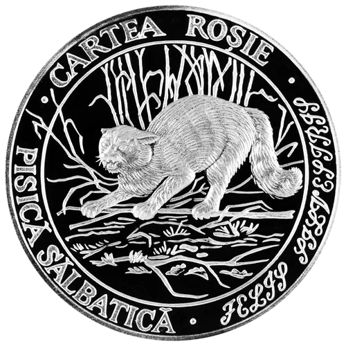 Pisica sălbatică, 2001, revers
